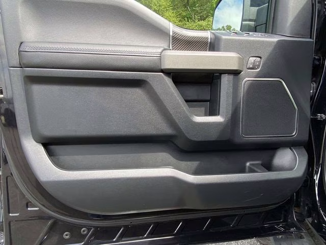 2019 Agate Black Metallic Ford F-150 Raptor 4X4 Truck