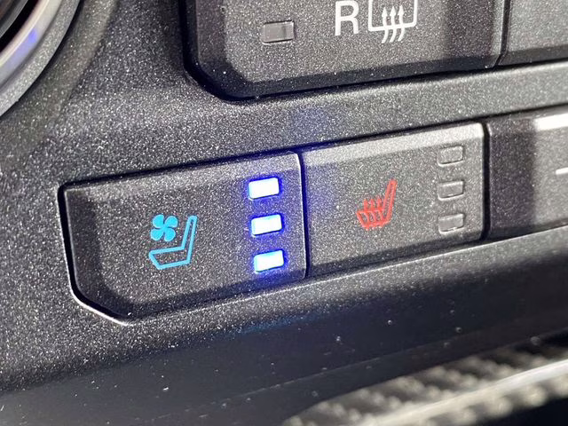 2019 Agate Black Metallic Ford F-150 Raptor 4X4 Truck