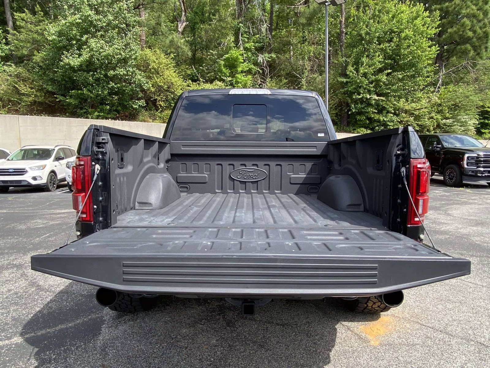 2019 Agate Black Metallic Ford F-150 Raptor 4X4 Truck