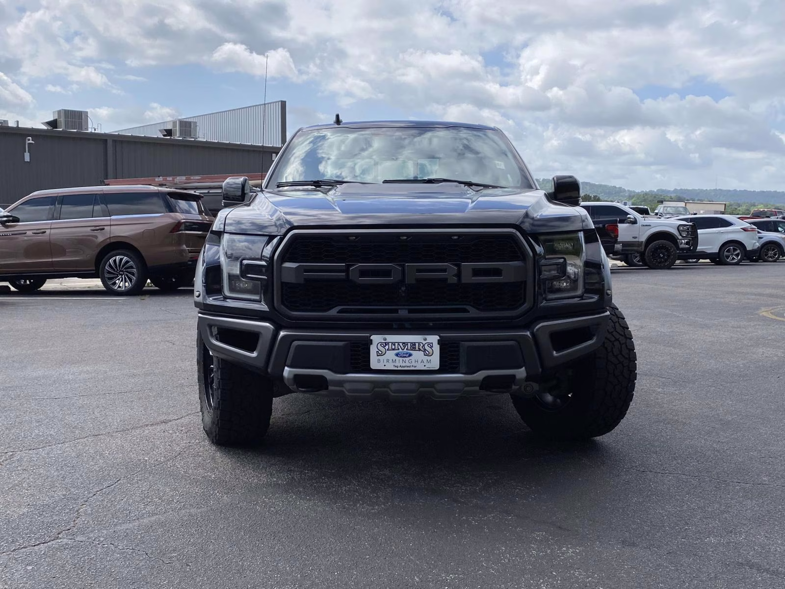 2019 Agate Black Metallic Ford F-150 Raptor 4X4 Truck