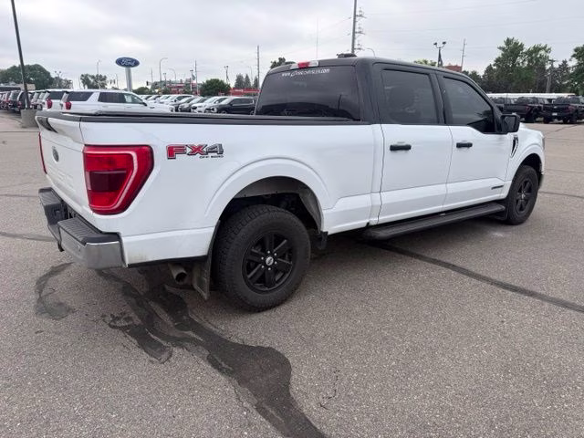 2023 White Ford F-150 XLT 4X4 Truck