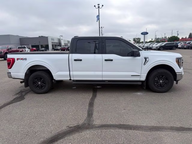2023 White Ford F-150 XLT 4X4 Truck