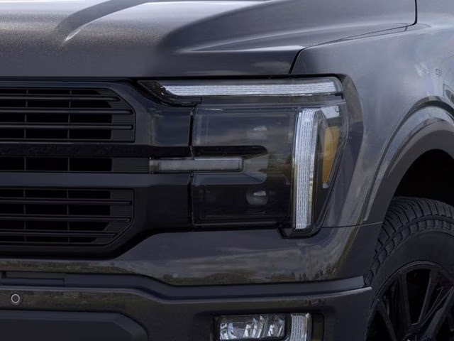 2026 Black Metallic Ford F-150 Platinum 4X4 Truck