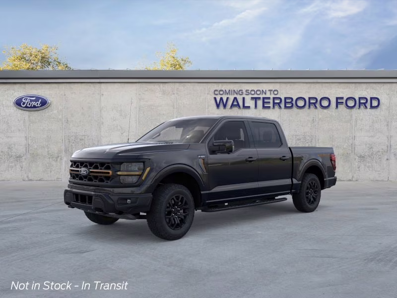 2026 Agate Black Metallic Ford F-150 Tremor 4X4 Truck