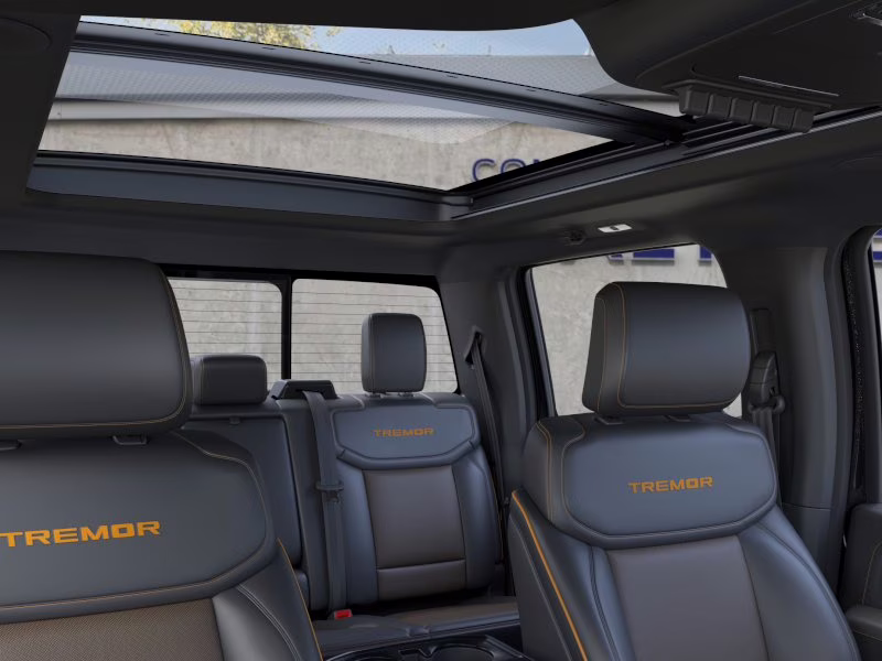 2026 Agate Black Metallic Ford F-150 Tremor 4X4 Truck