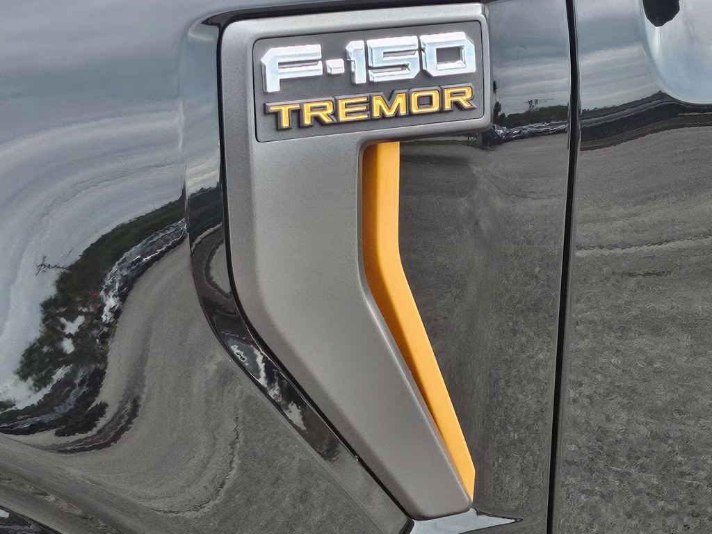 2026 Agate Black Metallic Ford F-150 Tremor 4X4 Truck