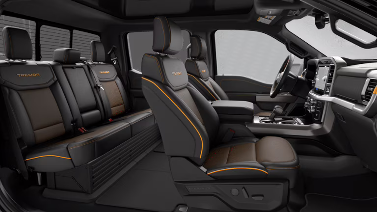 2026 Agate Black Metallic Ford F-150 Tremor 4X4 Truck