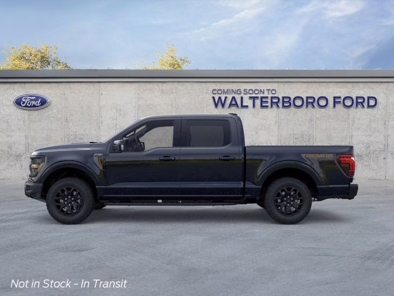 2026 Agate Black Metallic Ford F-150 Tremor 4X4 Truck