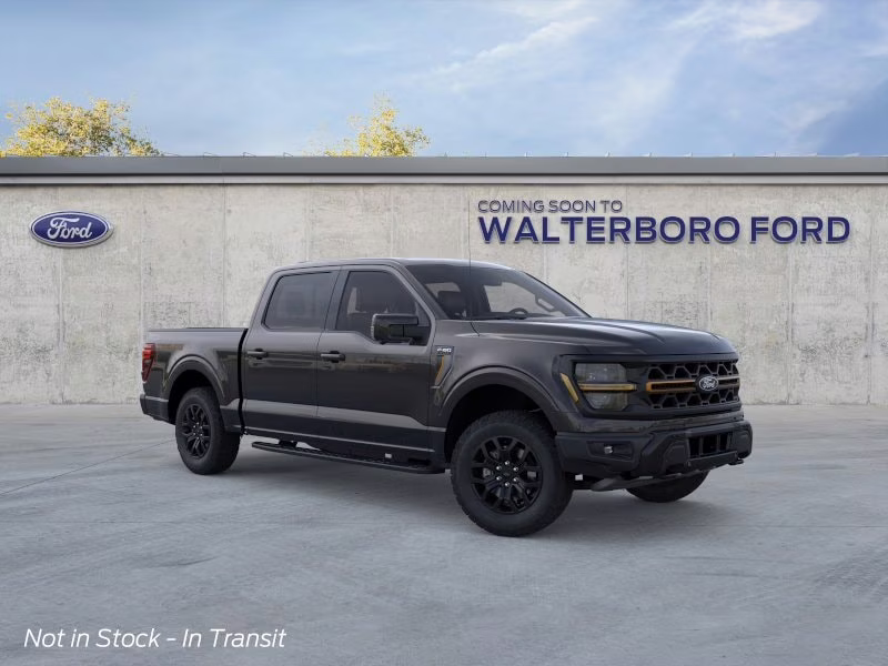 2026 Agate Black Metallic Ford F-150 Tremor 4X4 Truck