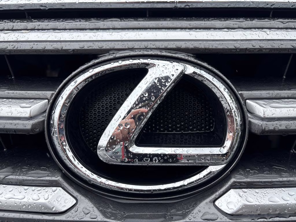 2014 Cashmere Metallic Lexus GX 460 Luxury 4X4 SUV