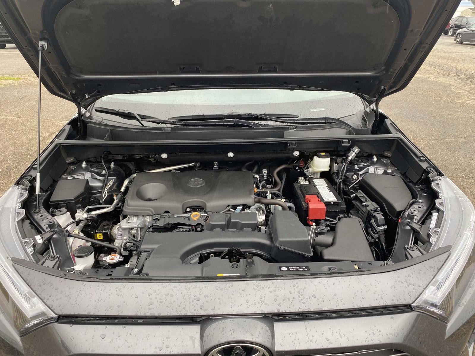 2025 Magnetic Gray Metallic Toyota RAV4 Limited AWD SUV