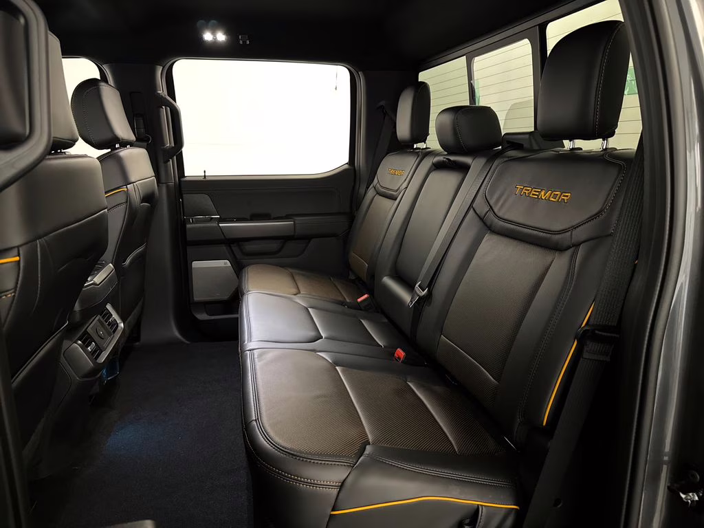 2026 Carbonized Gray Metallic Ford F-150 Tremor 4X4 Truck