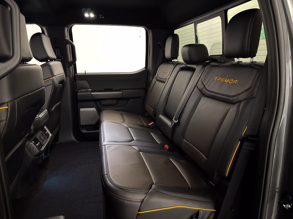 2026 Carbonized Gray Metallic Ford F-150 Tremor 4X4 Truck
