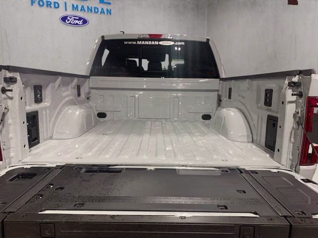 2026 Avalanche Ford F-150 Tremor 4X4 Truck