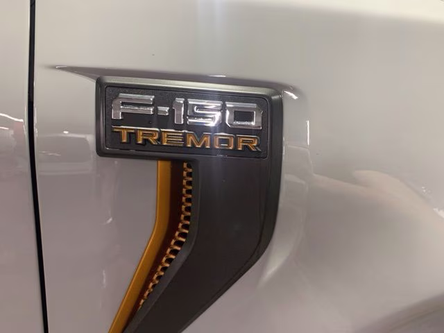 2026 Avalanche Ford F-150 Tremor 4X4 Truck