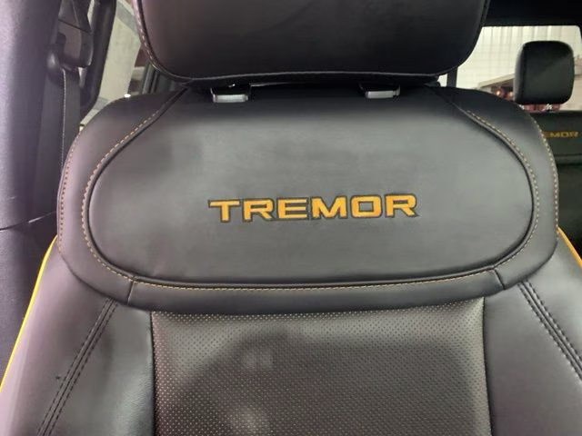2026 Avalanche Ford F-150 Tremor 4X4 Truck
