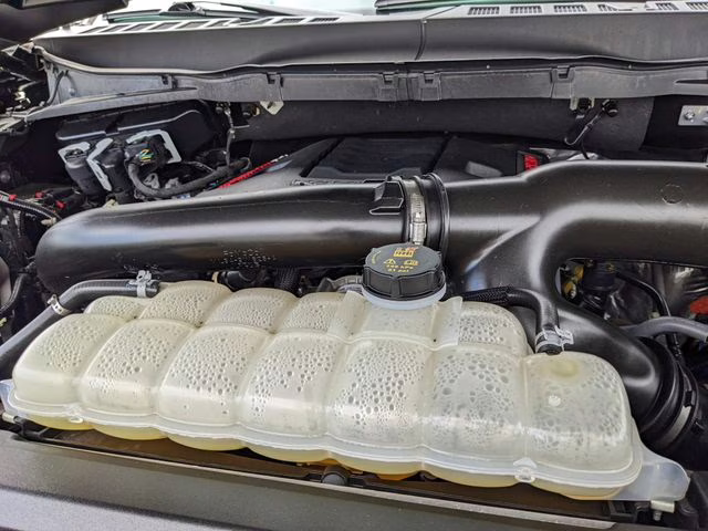 2025 Green Ford F-150 Raptor 4X4 Truck