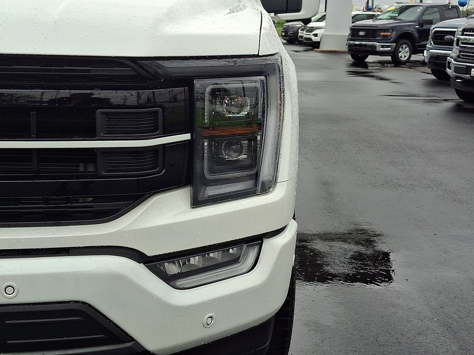 2023 Star White Metallic Tri-Coat - AZ Ford F-150 Platinum 4X4