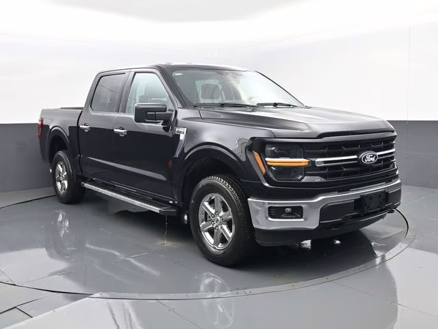 2025 Black Ford F-150 XLT 4X4 Truck
