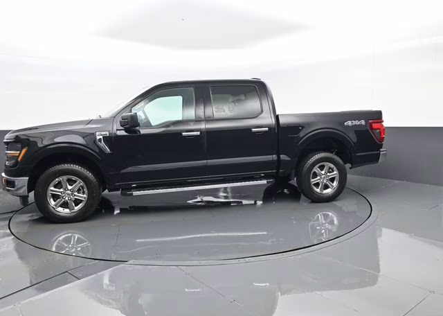 2025 Black Ford F-150 XLT 4X4 Truck