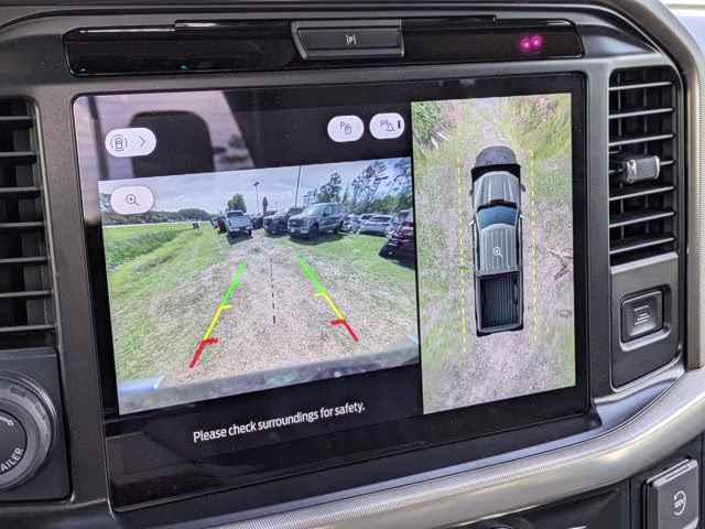 2025 Black Metallic Ford F-150 Platinum 4X4 Truck