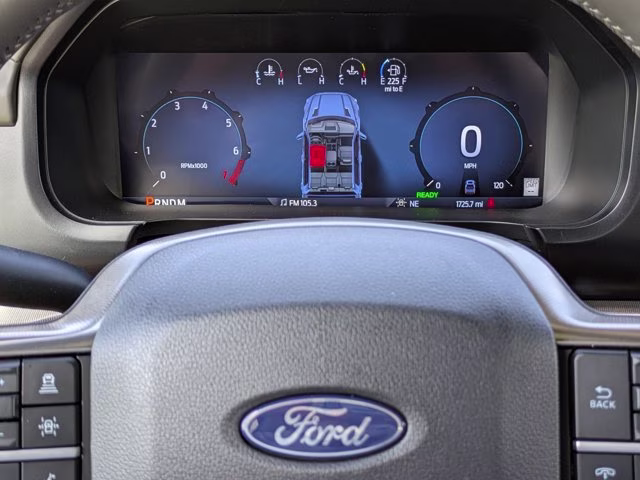 2025 Black Metallic Ford F-150 Platinum 4X4 Truck