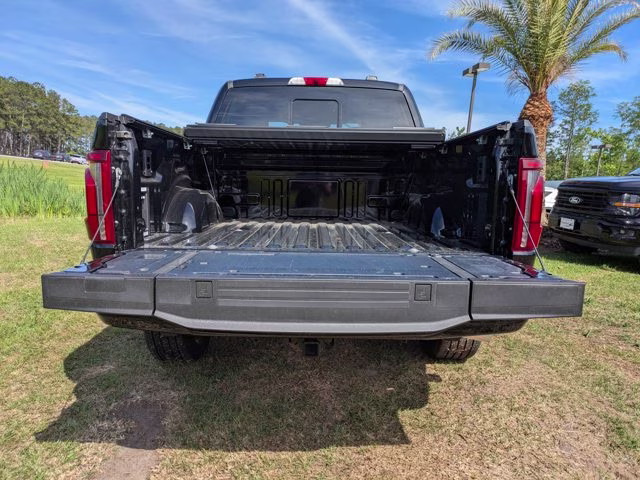 2025 Black Metallic Ford F-150 Platinum 4X4 Truck