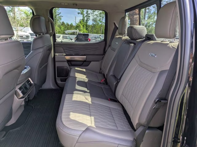 2025 Black Metallic Ford F-150 Platinum 4X4 Truck
