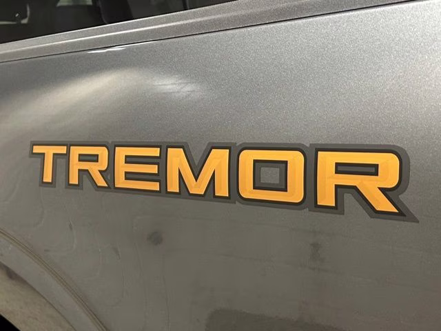 2026 Carbonized Gray Metallic Ford F-150 Tremor 4X4 Truck