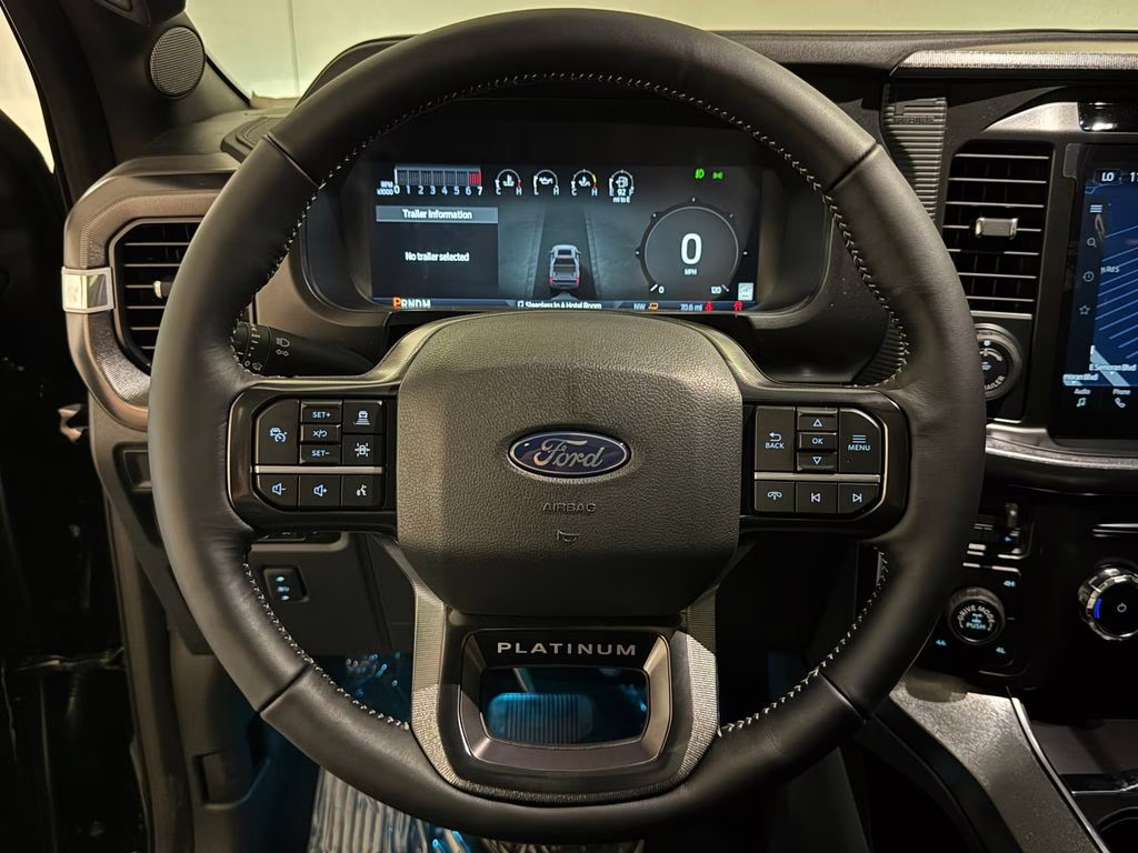 2026 Agate Black Metallic Ford F-150 Platinum 4X4 Truck