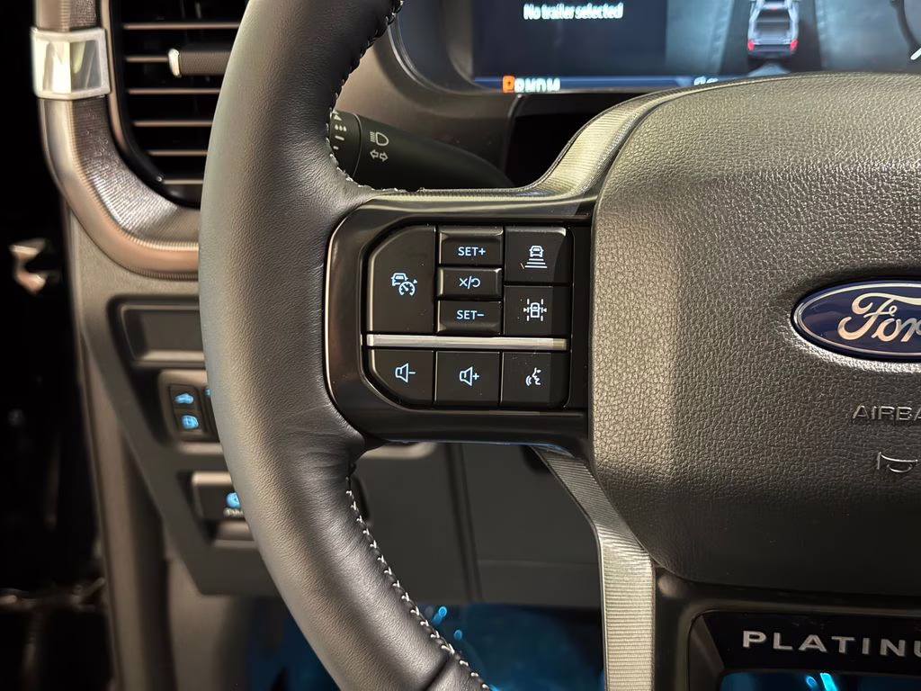 2026 Agate Black Metallic Ford F-150 Platinum 4X4 Truck