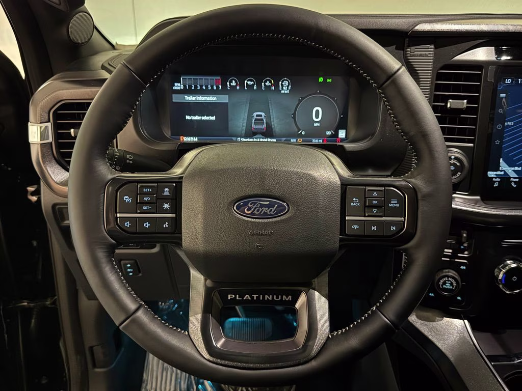 2026 Agate Black Metallic Ford F-150 Platinum 4X4 Truck