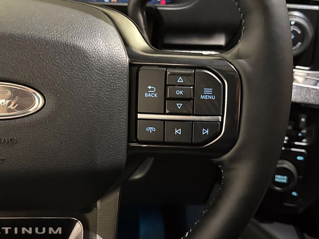 2026 Agate Black Metallic Ford Super Duty F-350 SRW Platinum 4X4 Truck