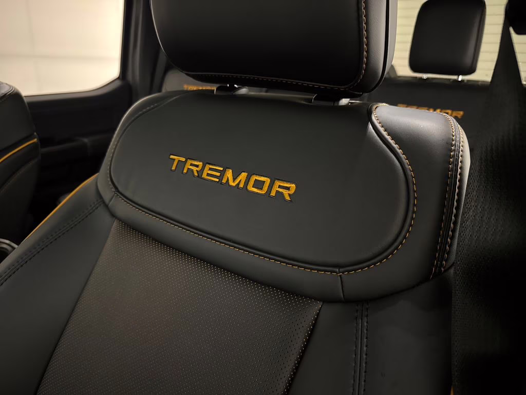 2026 Carbonized Gray Metallic Ford F-150 Tremor 4X4 Truck