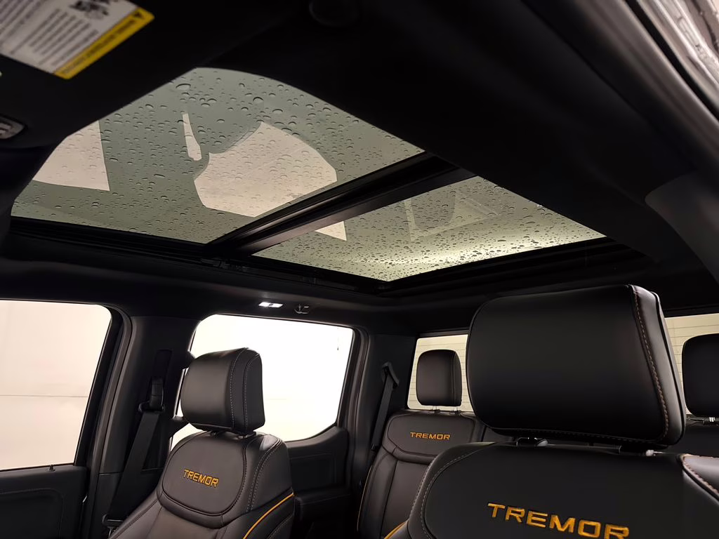 2026 Carbonized Gray Metallic Ford F-150 Tremor 4X4 Truck