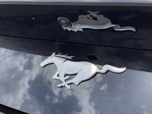 2026 Shadow Black Ford Mustang EcoBoost RWD Coupe