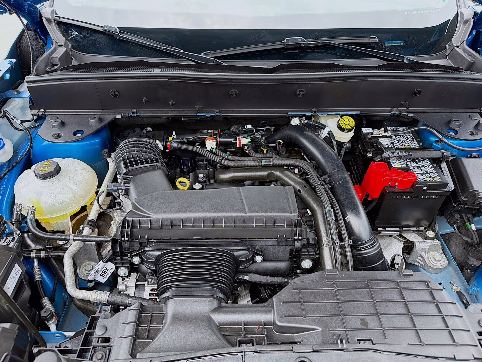 2025 Velocity Blue Metallic Ford Bronco Sport Badlands 4X4 SUV