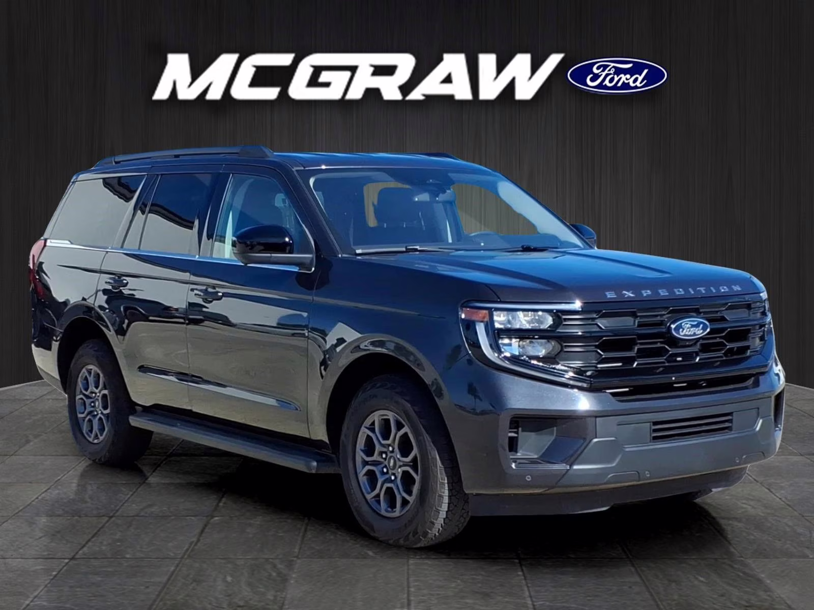 2025 Gray Metallic Ford Expedition Active 4X4 SUV