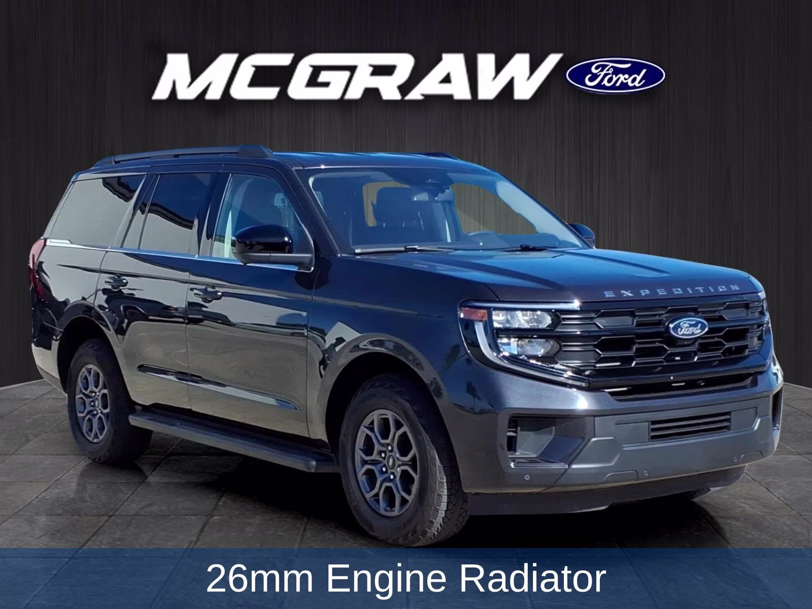2025 Gray Metallic Ford Expedition Active 4X4 SUV
