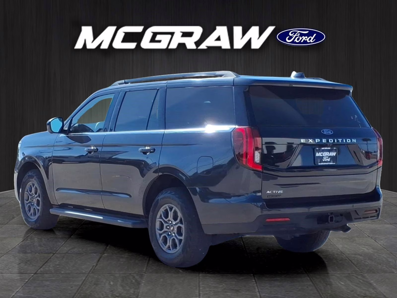 2025 Gray Metallic Ford Expedition Active 4X4 SUV