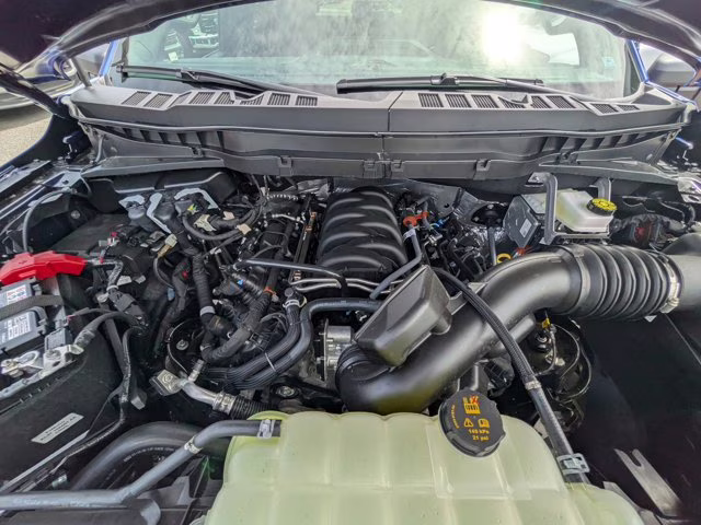 2026 Blue Ford F-150 STX 4X4 Truck