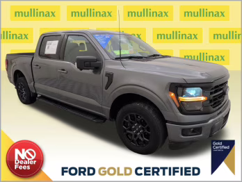 2024 Gray Metallic Ford F-150 XLT RWD Truck
