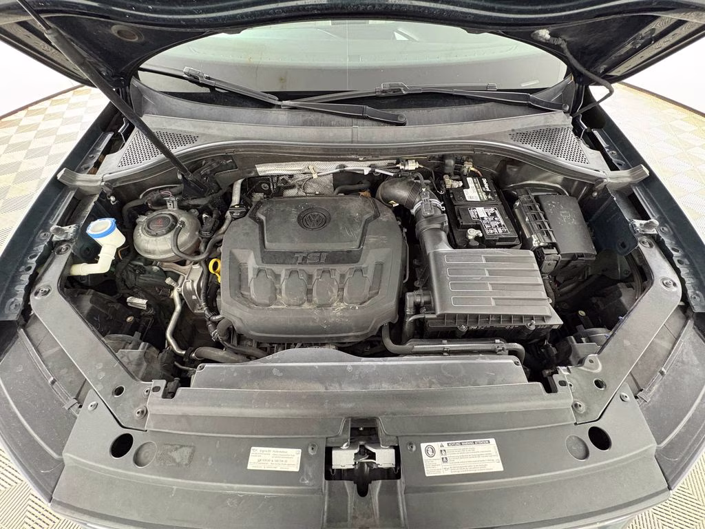 2019 Dark Moss Green Metallic Volkswagen Tiguan 2.0T SE FWD SUV