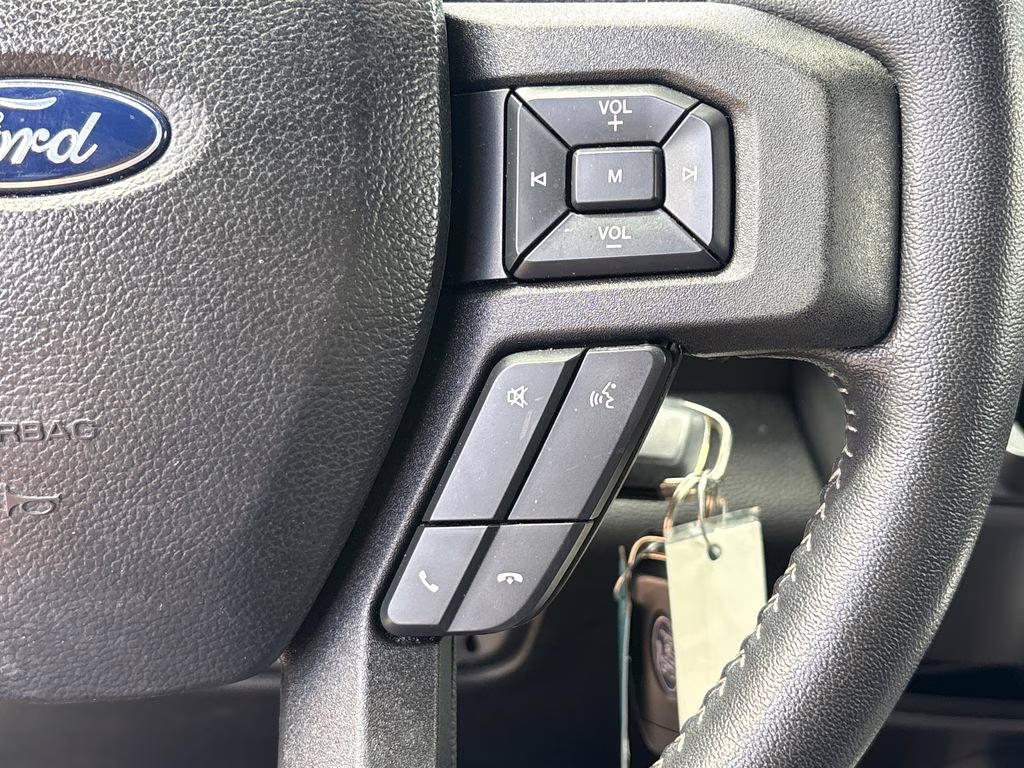 2019 Ruby Red Metallic Tinted Clearcoat Ford F-150 XLT RWD Truck