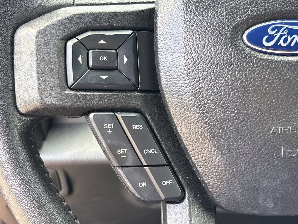 2019 Ruby Red Metallic Tinted Clearcoat Ford F-150 XLT RWD Truck