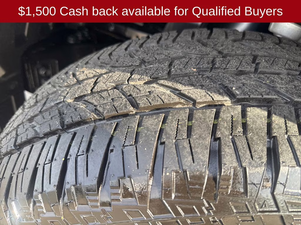 2026 Alpine Metallic Nissan Armada PRO-4X 4X4 SUV