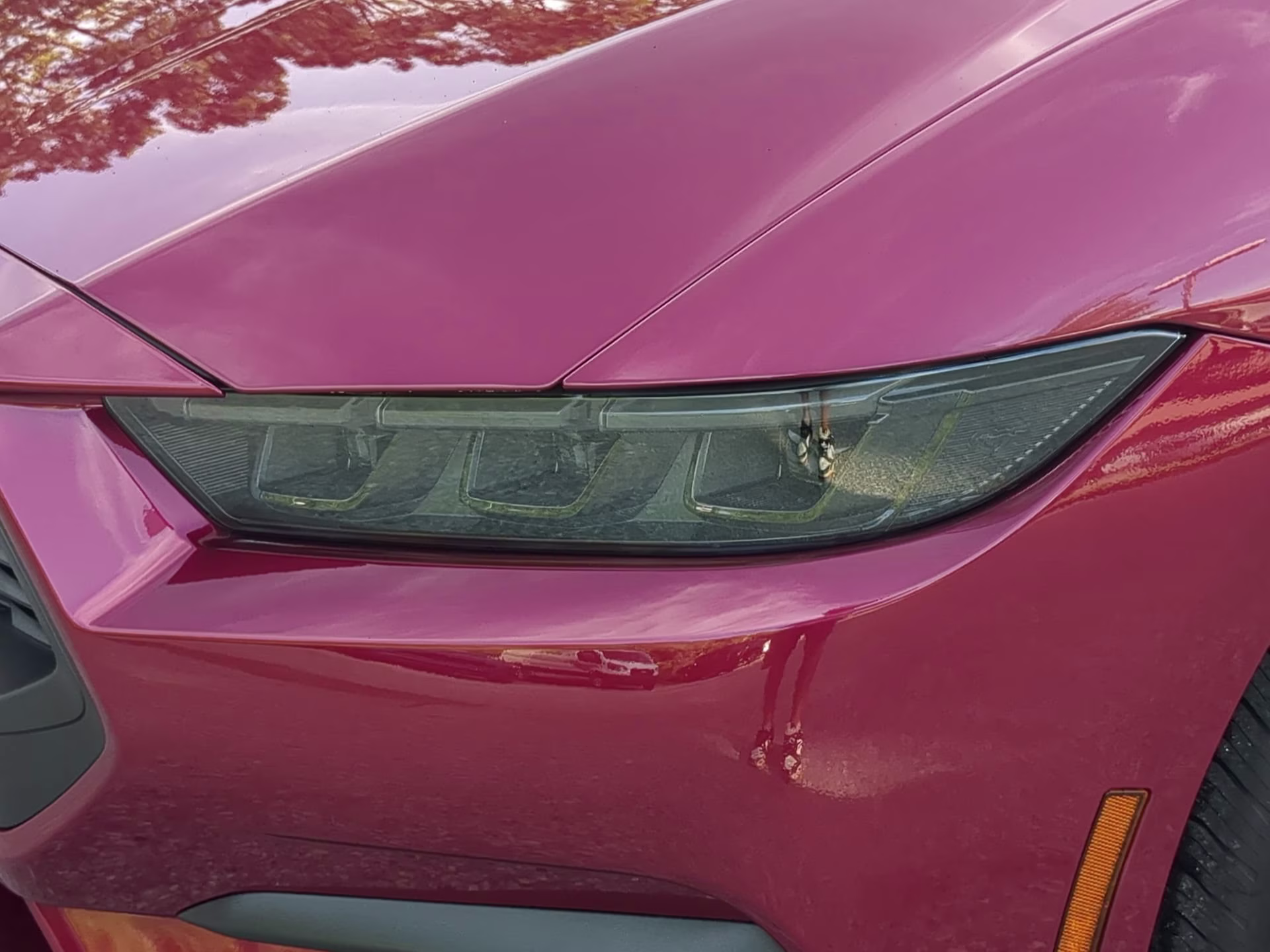 2026 Molten Magenta Metallic Tinted Clearcoat Ford Mustang EcoBoost RWD Coupe