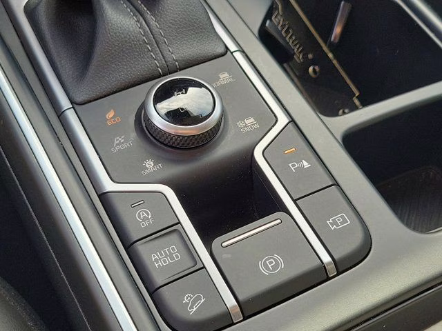 2024 Jungle Green Kia Sorento X-Line EX AWD SUV