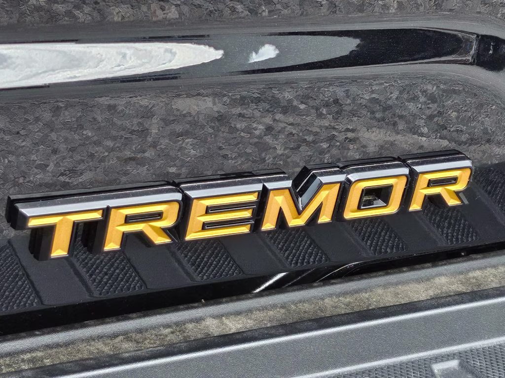 2026 Agate Black Metallic Ford F-150 Tremor 4X4 Truck