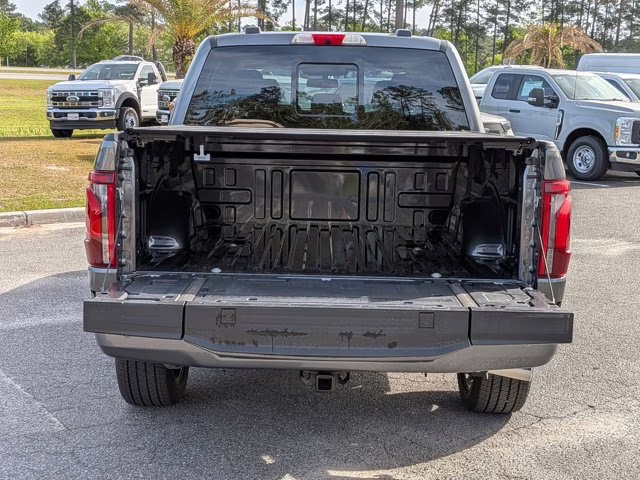 2025 Gray Metallic Ford F-150 Platinum 4X4 Truck